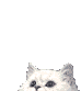 Ricky