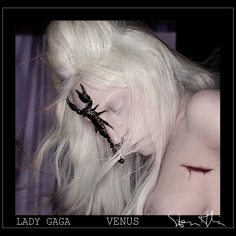 LadyGaga-Sing22Venus.jpg