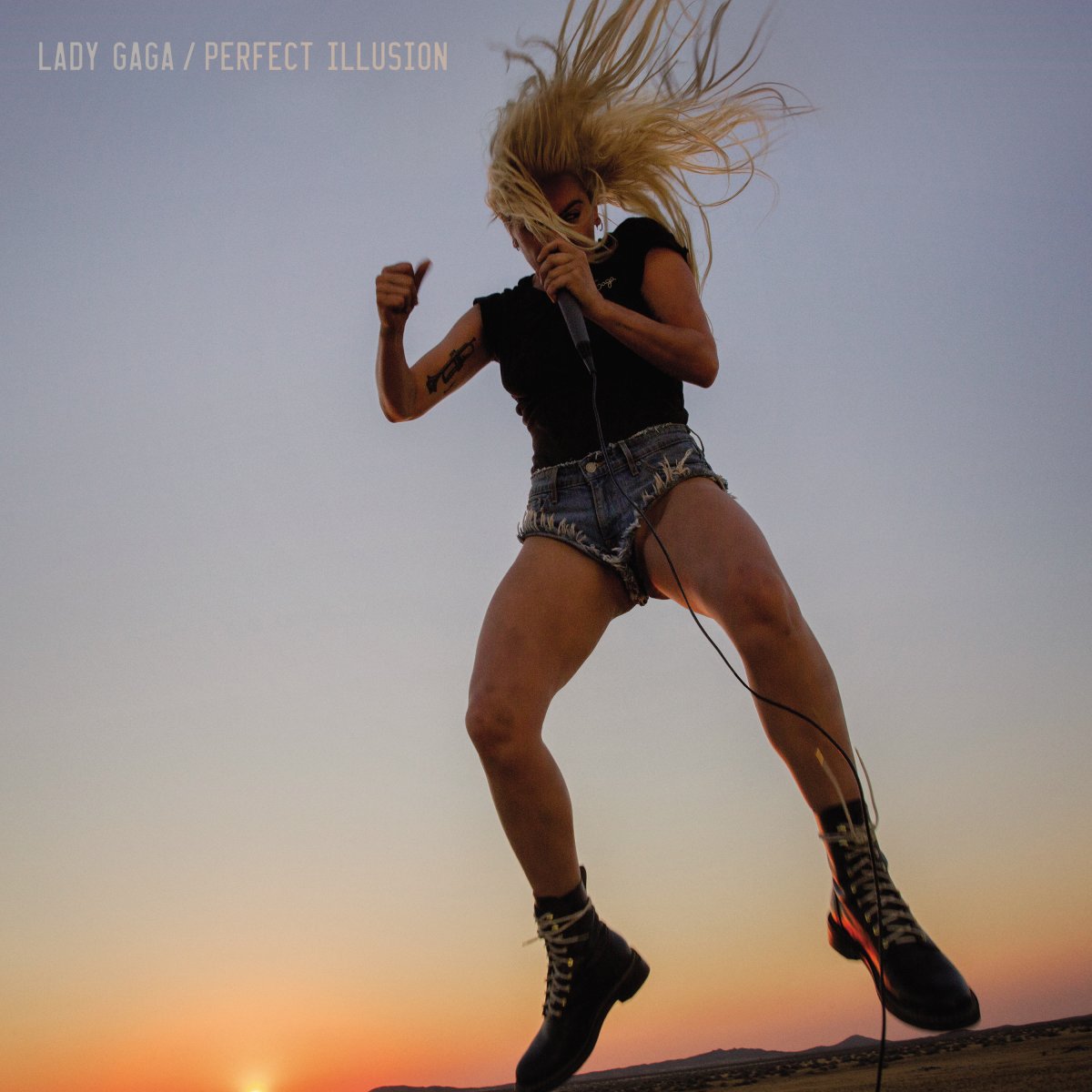Perfect_Illusion_Cover.jpg