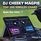 Dj Cheeky magpie