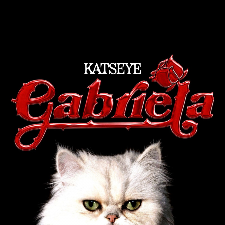 grafik.png