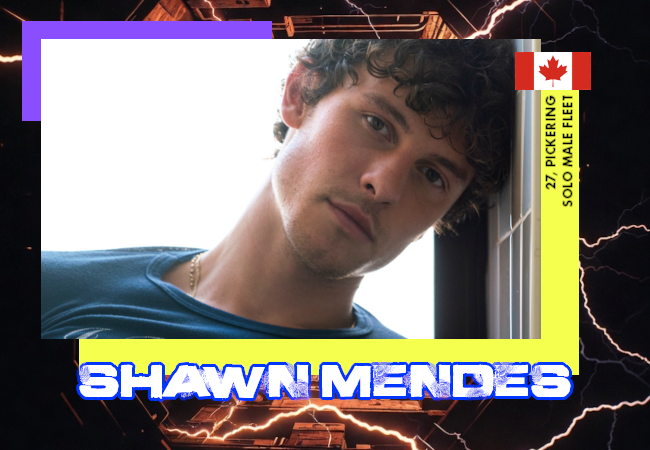 ShawnMendesArtistCard.png