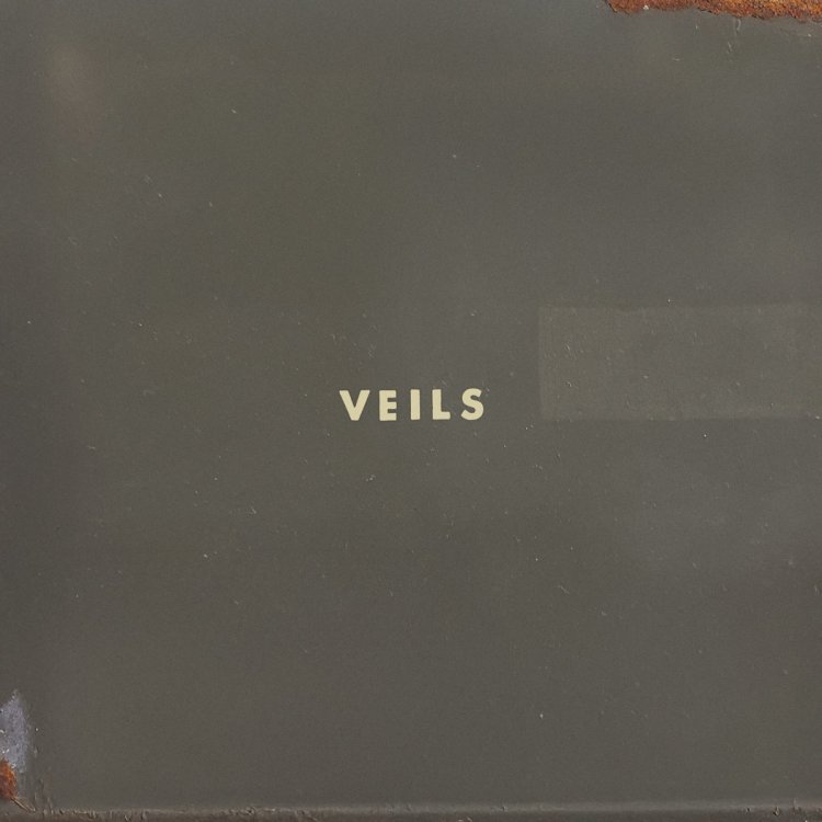 Vanessa-Carlton-VC-Veils-Album-Cover-Credit-Patrick-McPheron-for-Interiorstate-scaled.jpg