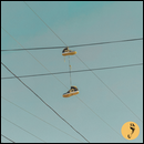 oie_2117291MoF6HSn.PNG