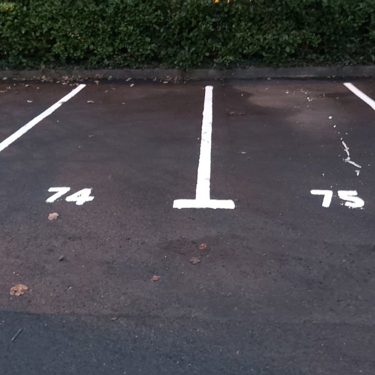 7 (2).jpg