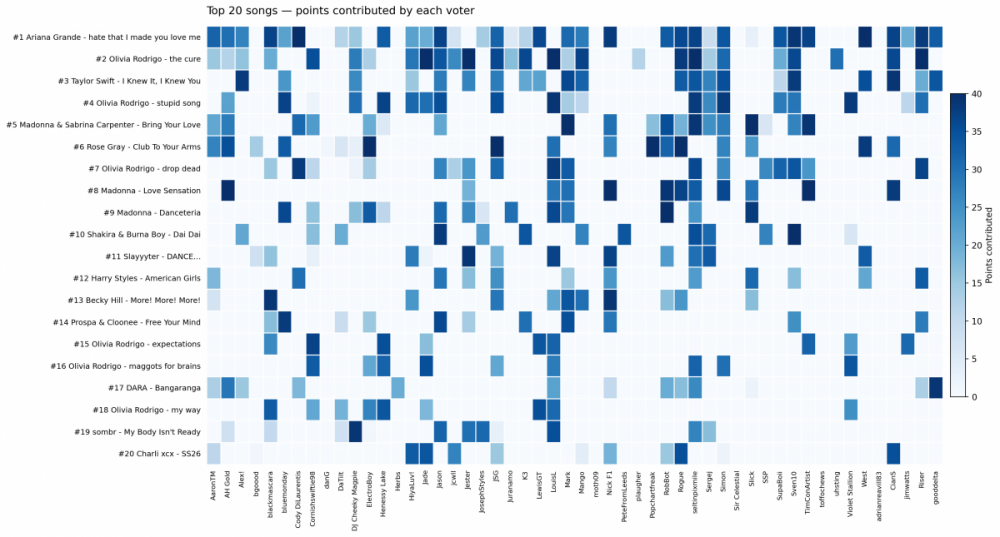 top20_voter_points_heatmap.png