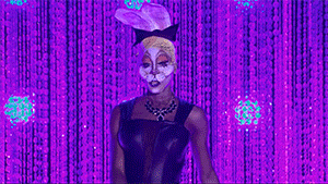 IMG_8831.gif