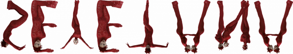 SEYETANAupsidedown.png