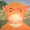 uhsting