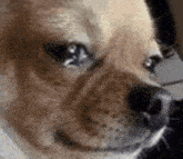 image.gif