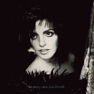 cover- so sorry i said.jpg